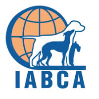 International Pedigree Dog Exhibition (RasseHunde Rostock) Rostock 2026