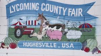 Lycoming County Fair Hughesville 2026