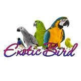 Southeast Exotic Bird Fair Kissimmee 2026